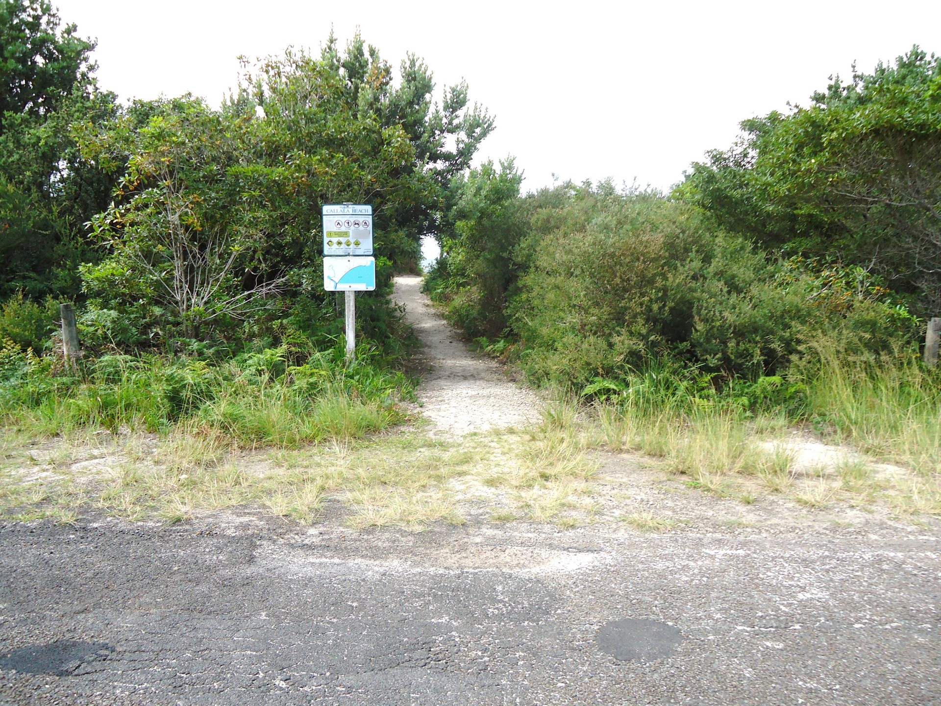 Real Estate in Callala Beach