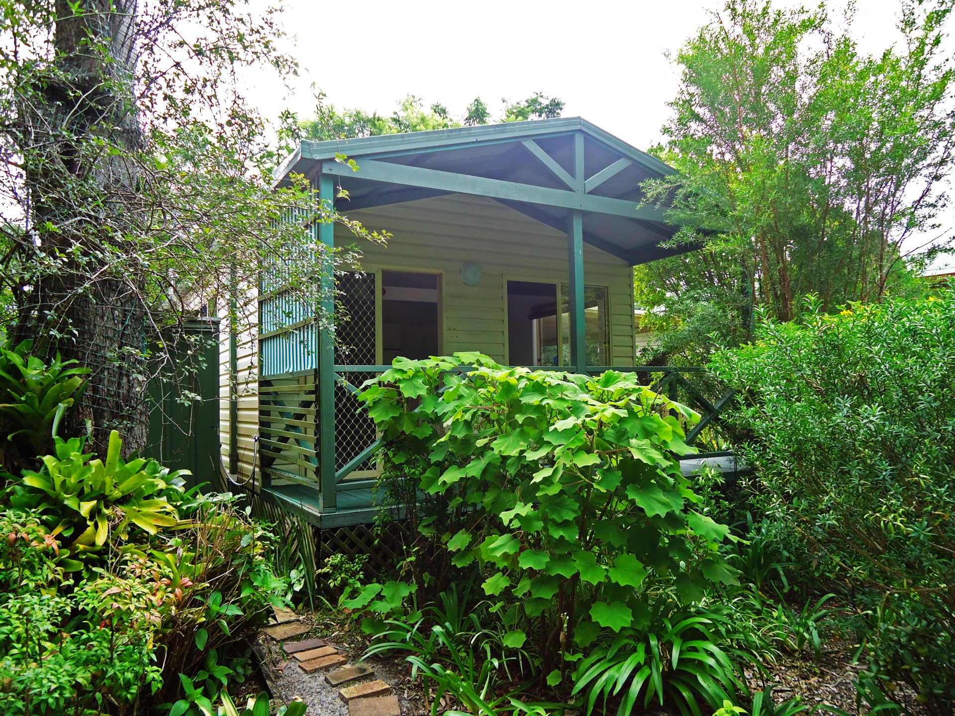 Real Estate in Myola