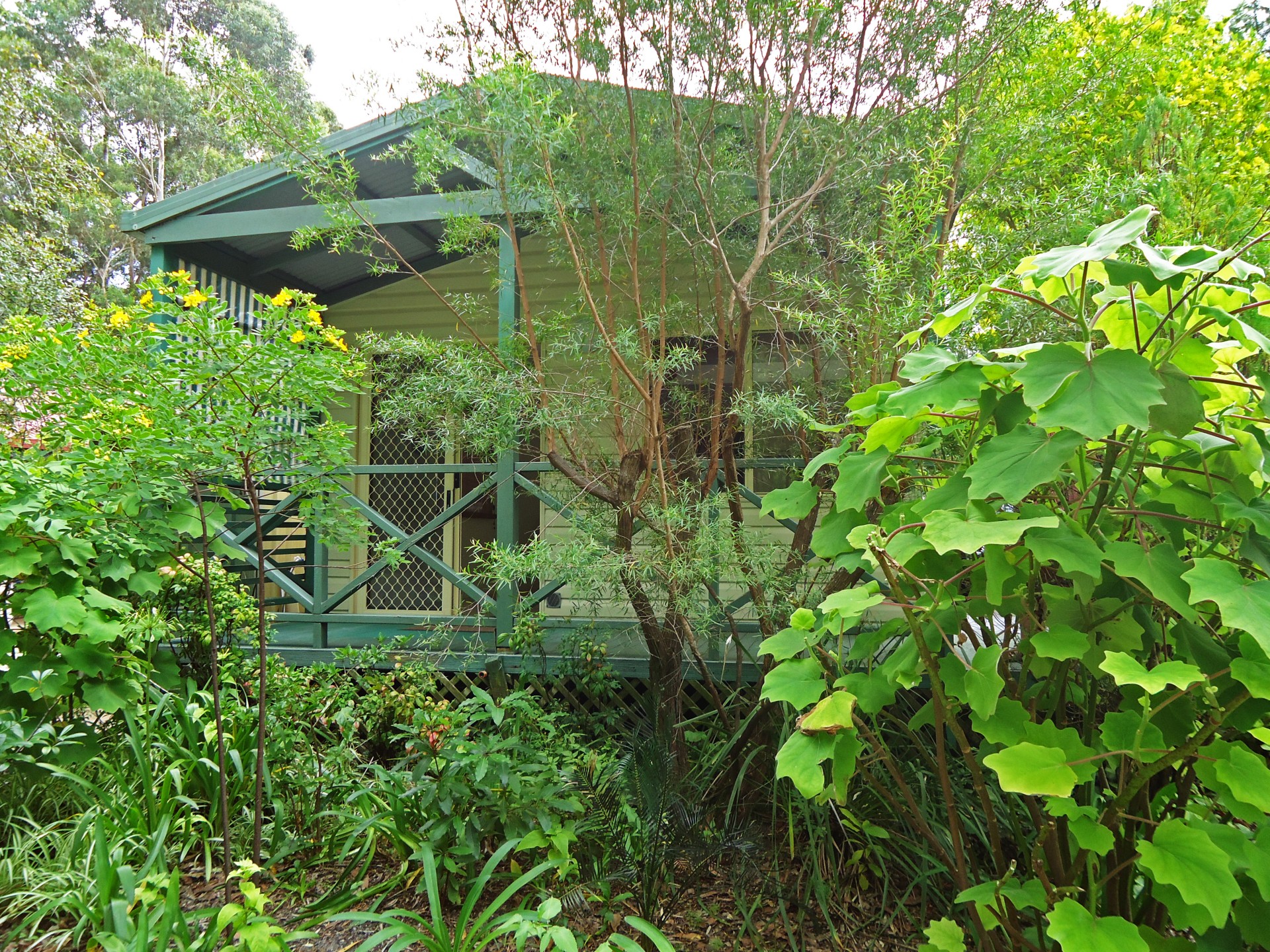 Real Estate in Myola