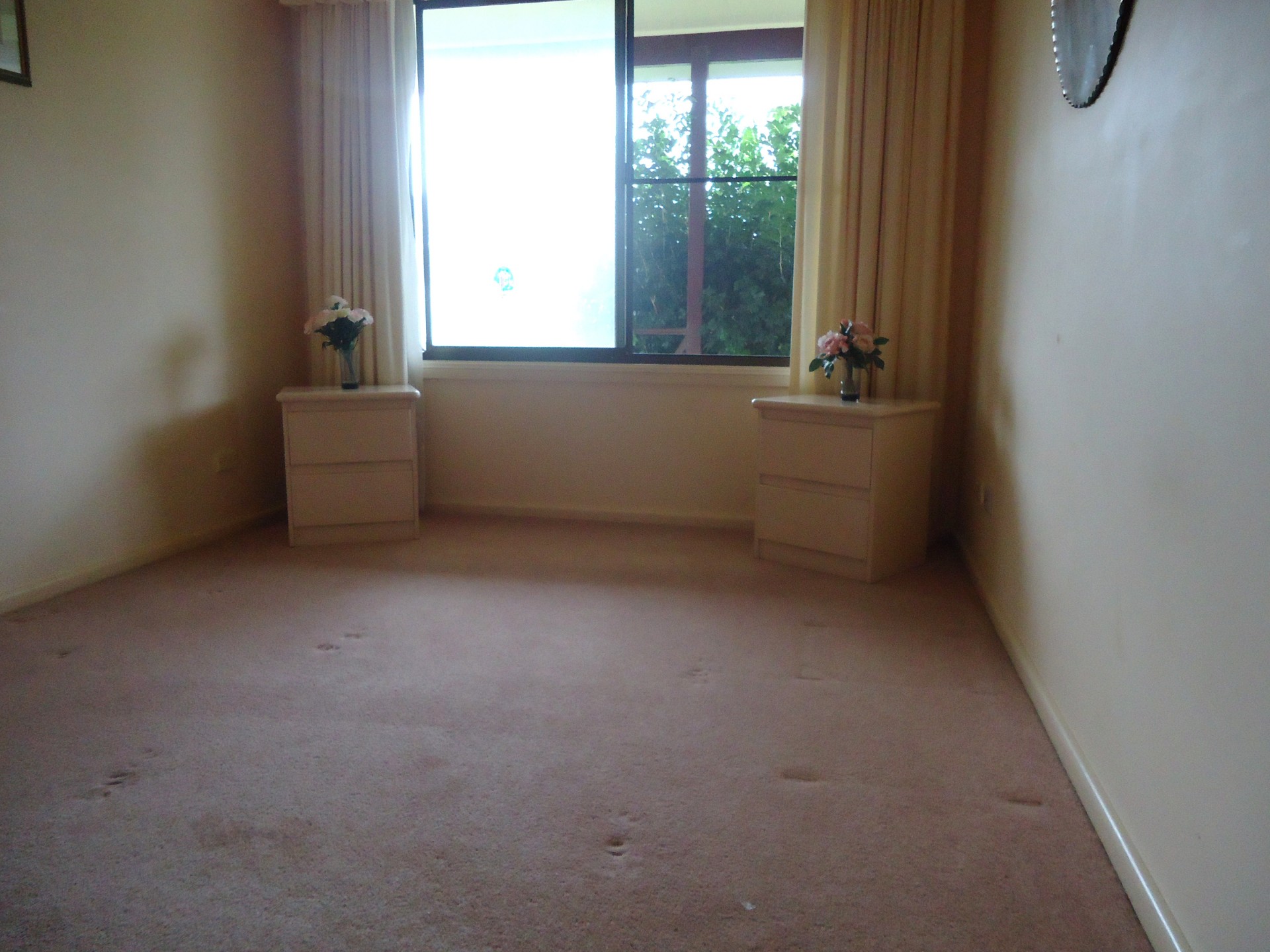 Real Estate in Cudmirrah