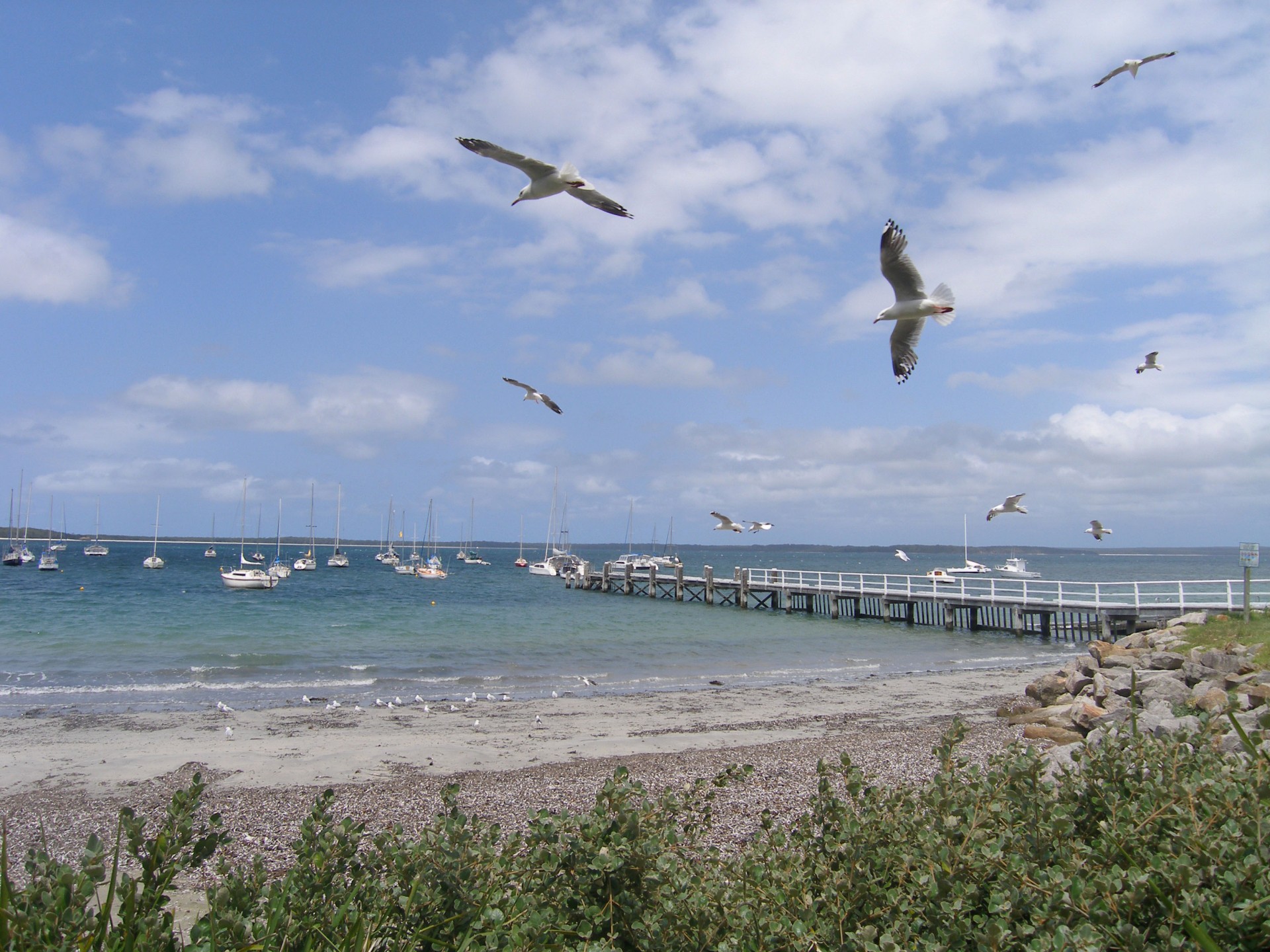 Real Estate in Callala Bay