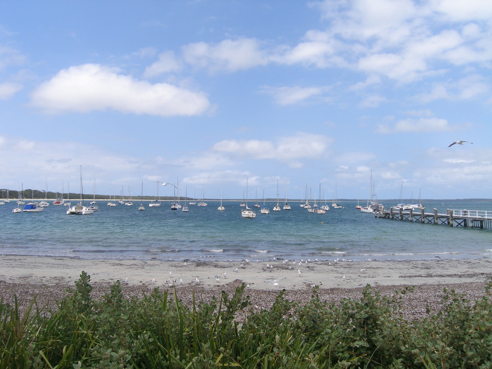 Real Estate in Callala Bay