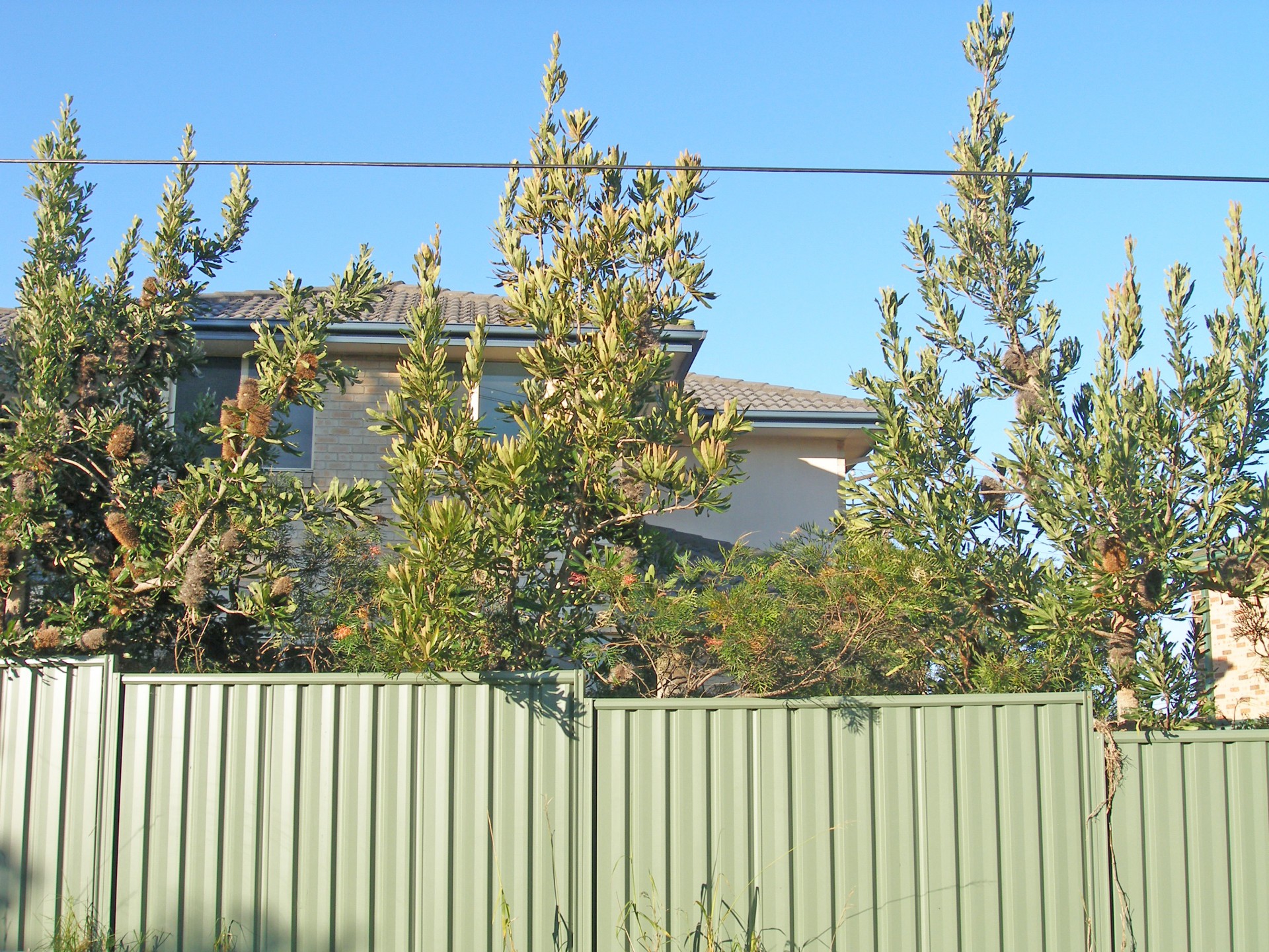 Real Estate in Culburra Beach