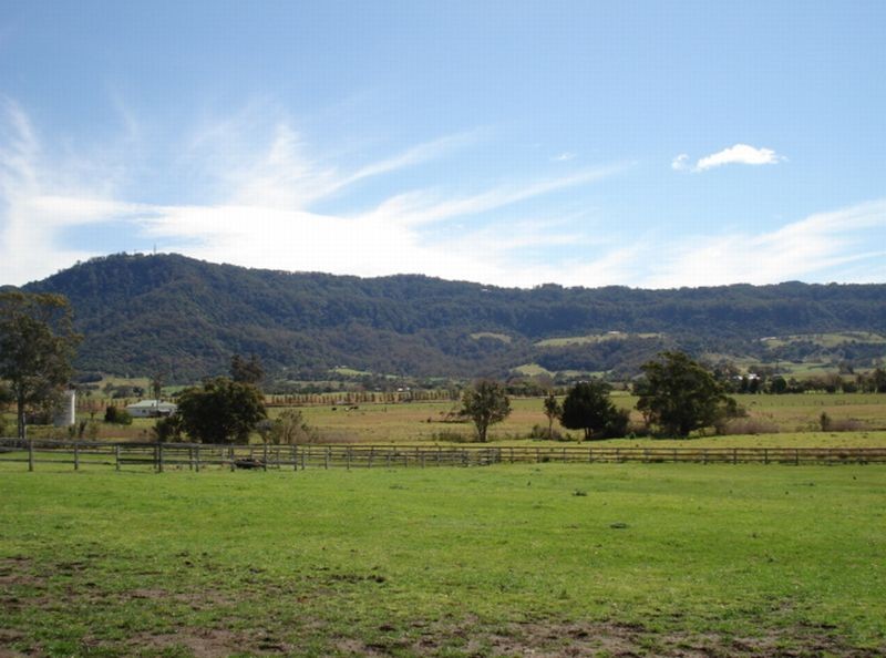 View from lounge room