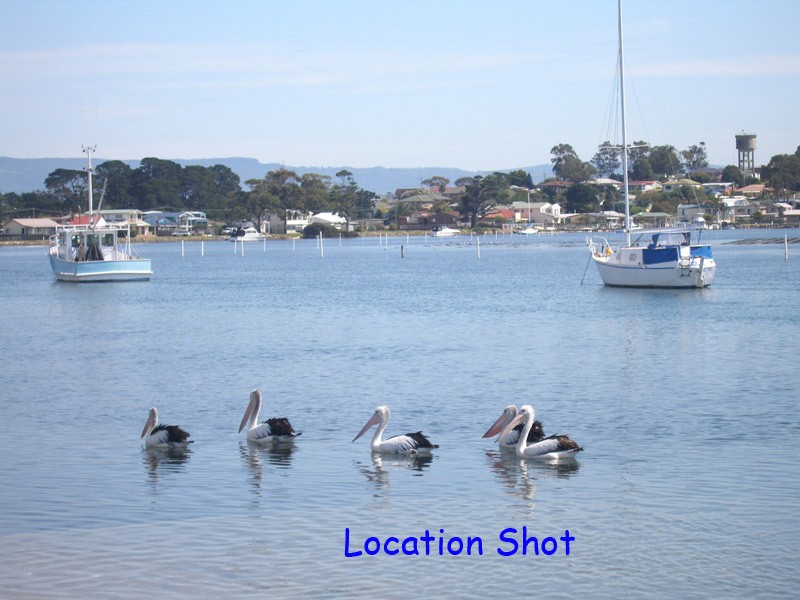 Real Estate in Greenwell Point