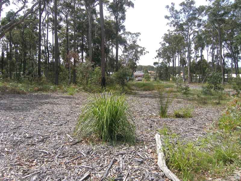 Front looking to back