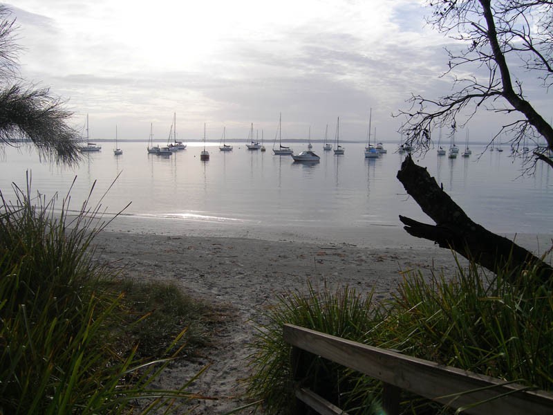 Morning in Callala Bay