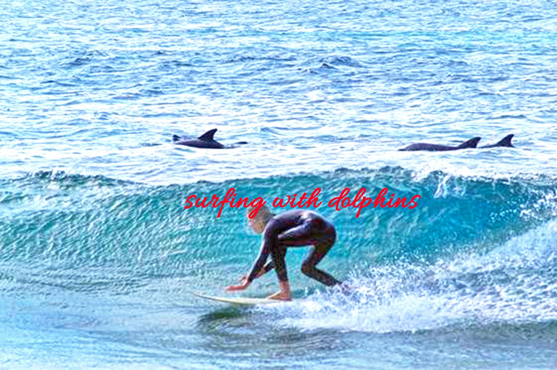 Surfing with dolphins