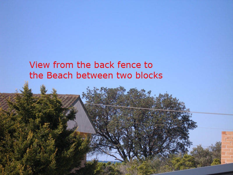 View from back fence