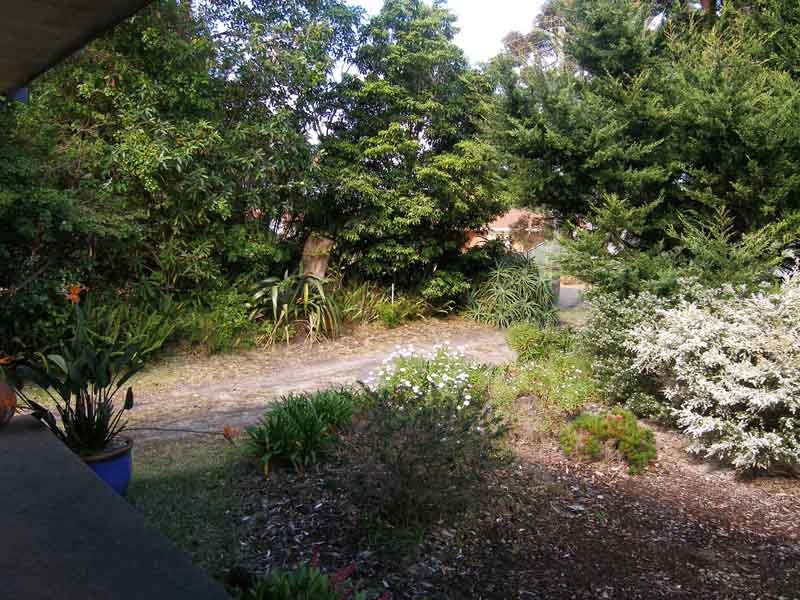 Garden looking from frontyard to street