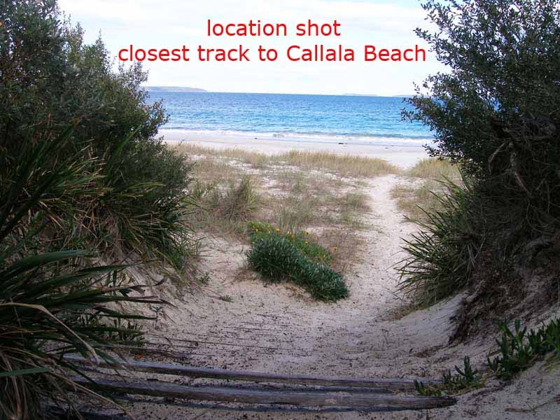 Beah track to Callala Beach