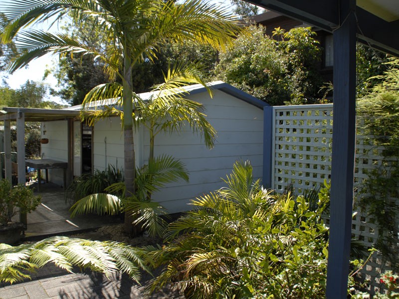 Back gardens & studio