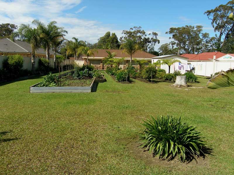 rear yard looking at house