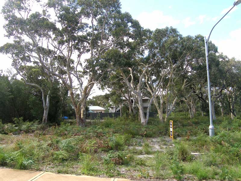 Front View looking north