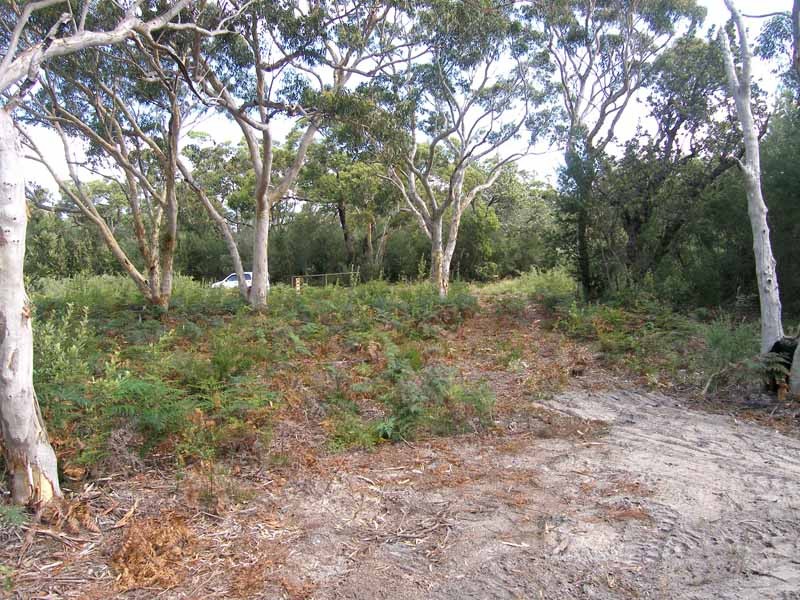 Rear View looking south