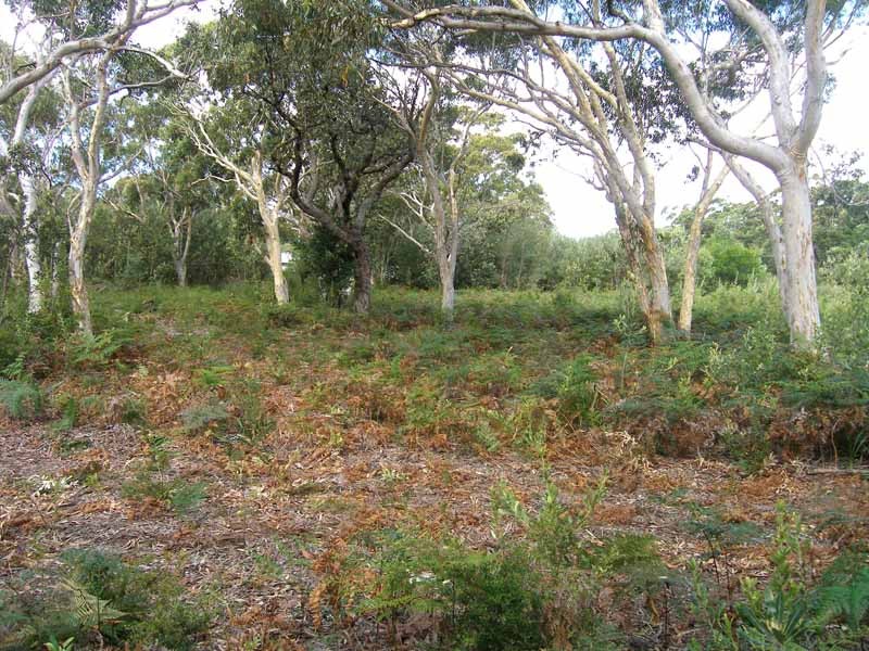 Side View looking east