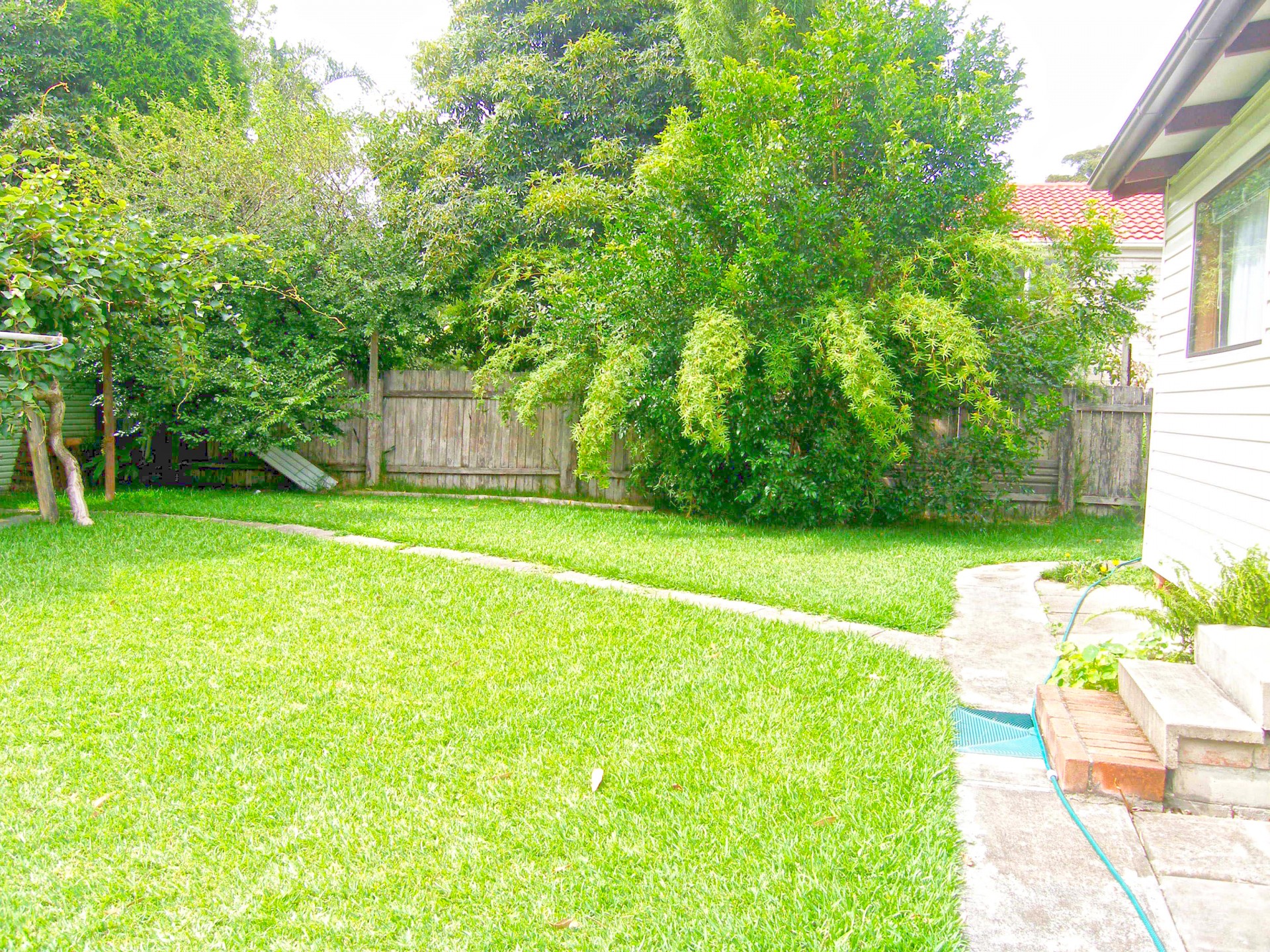 Large backyard with plenty of room to play