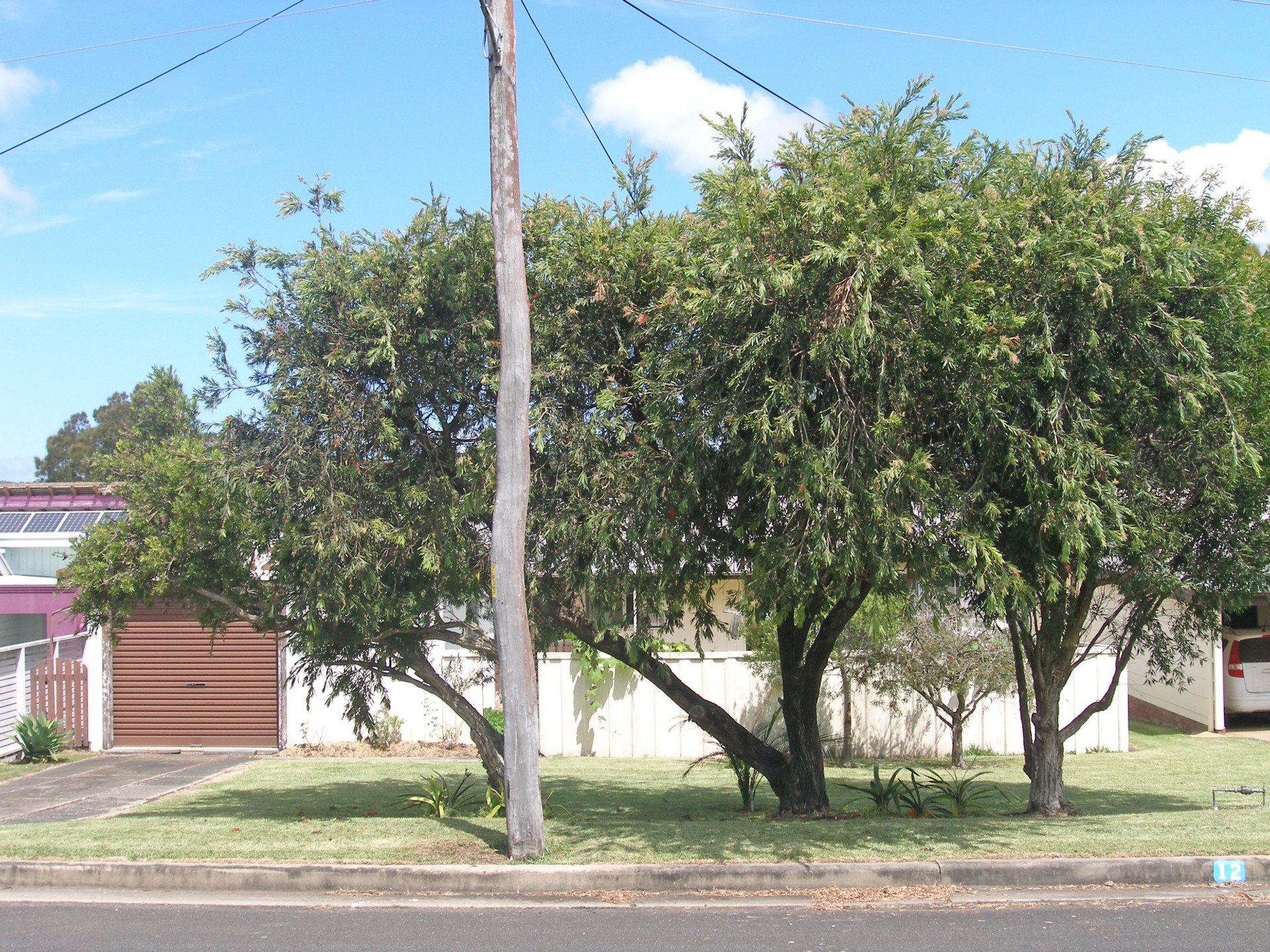 Greenwell Point real estate Sold