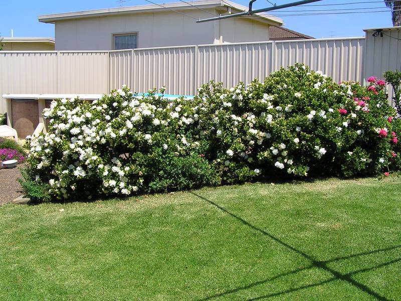 Real Estate in Greenwell Point