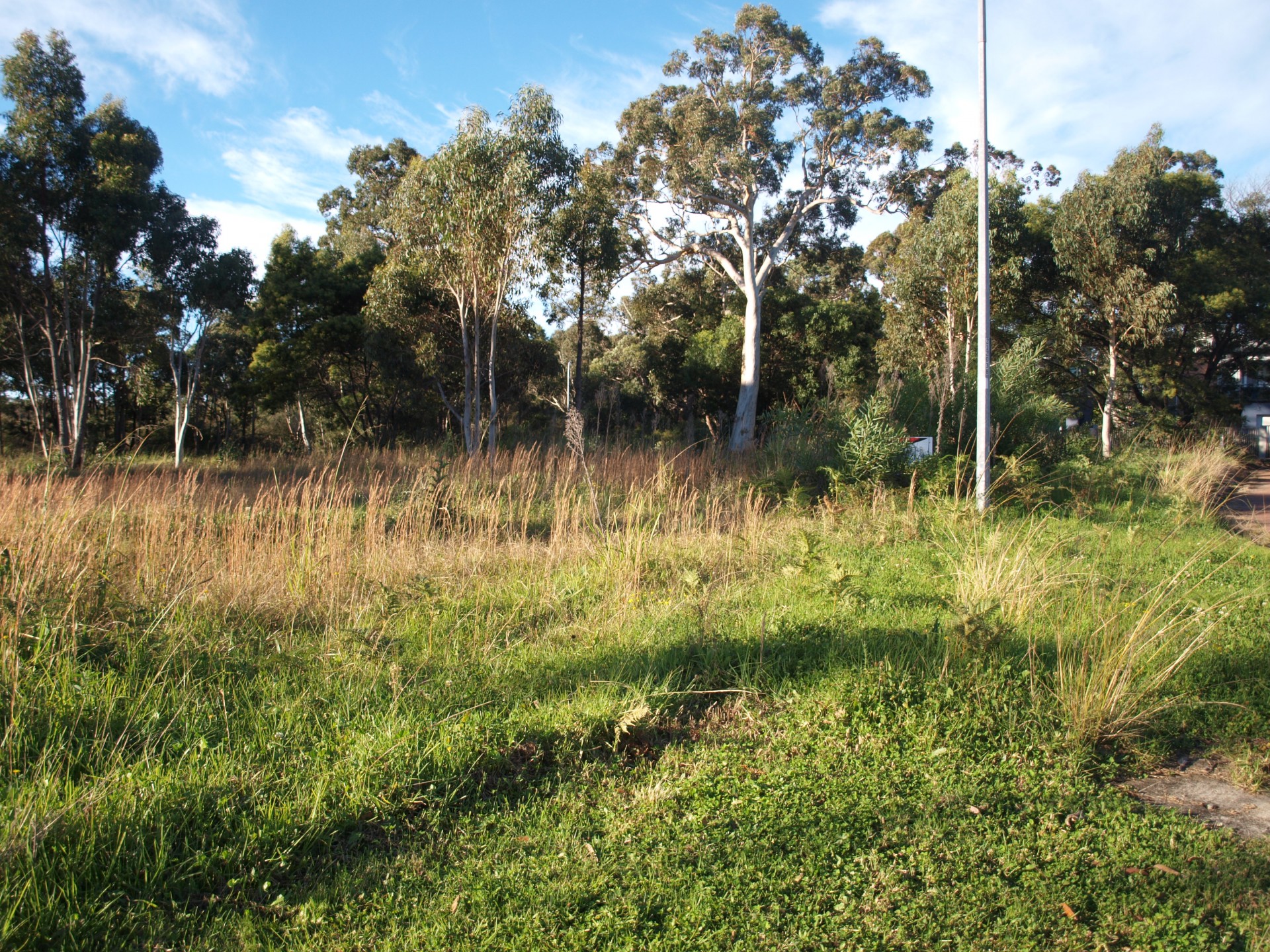 Property Sold in Callala Bay