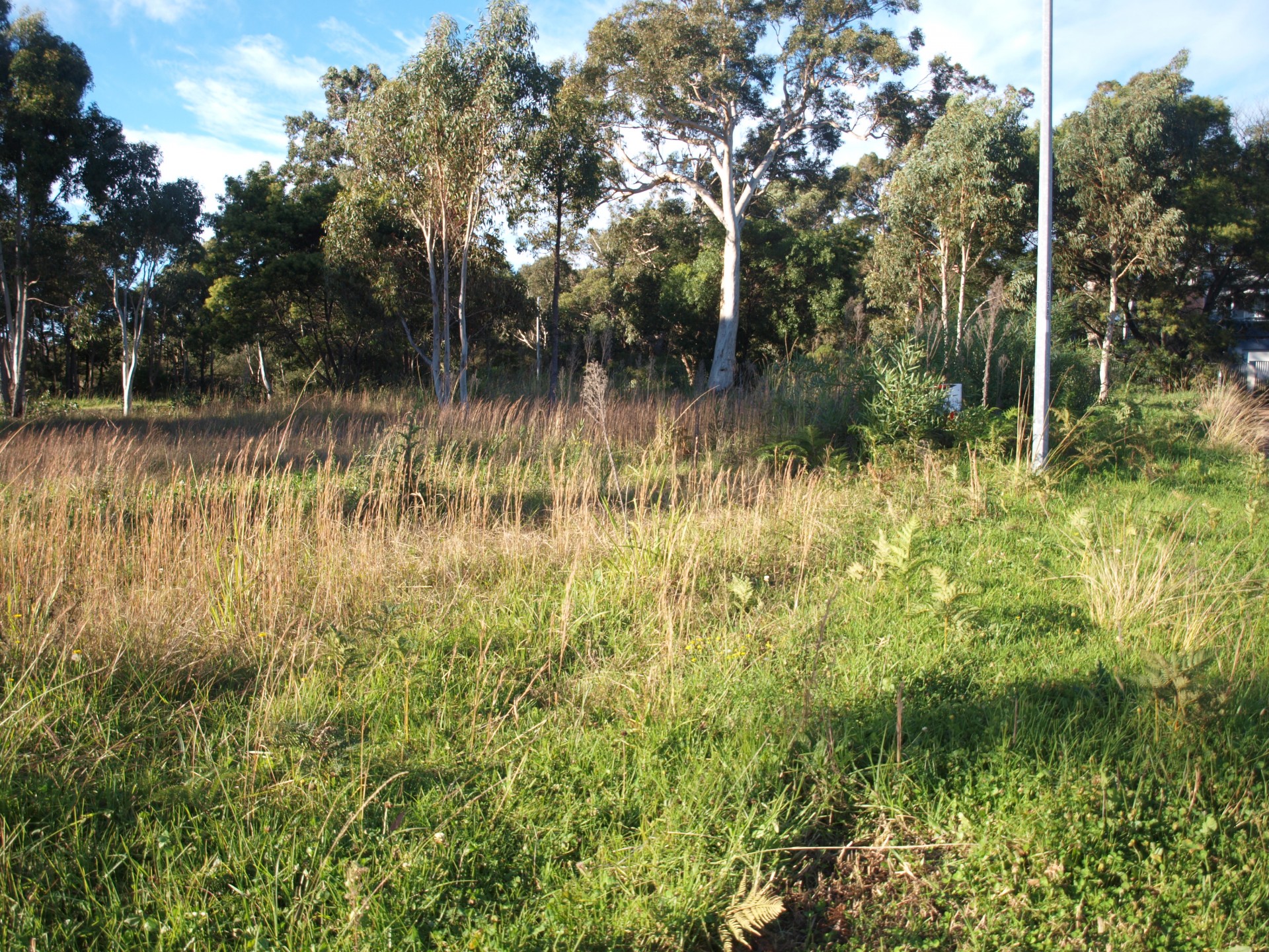 Callala Bay Properties Sold