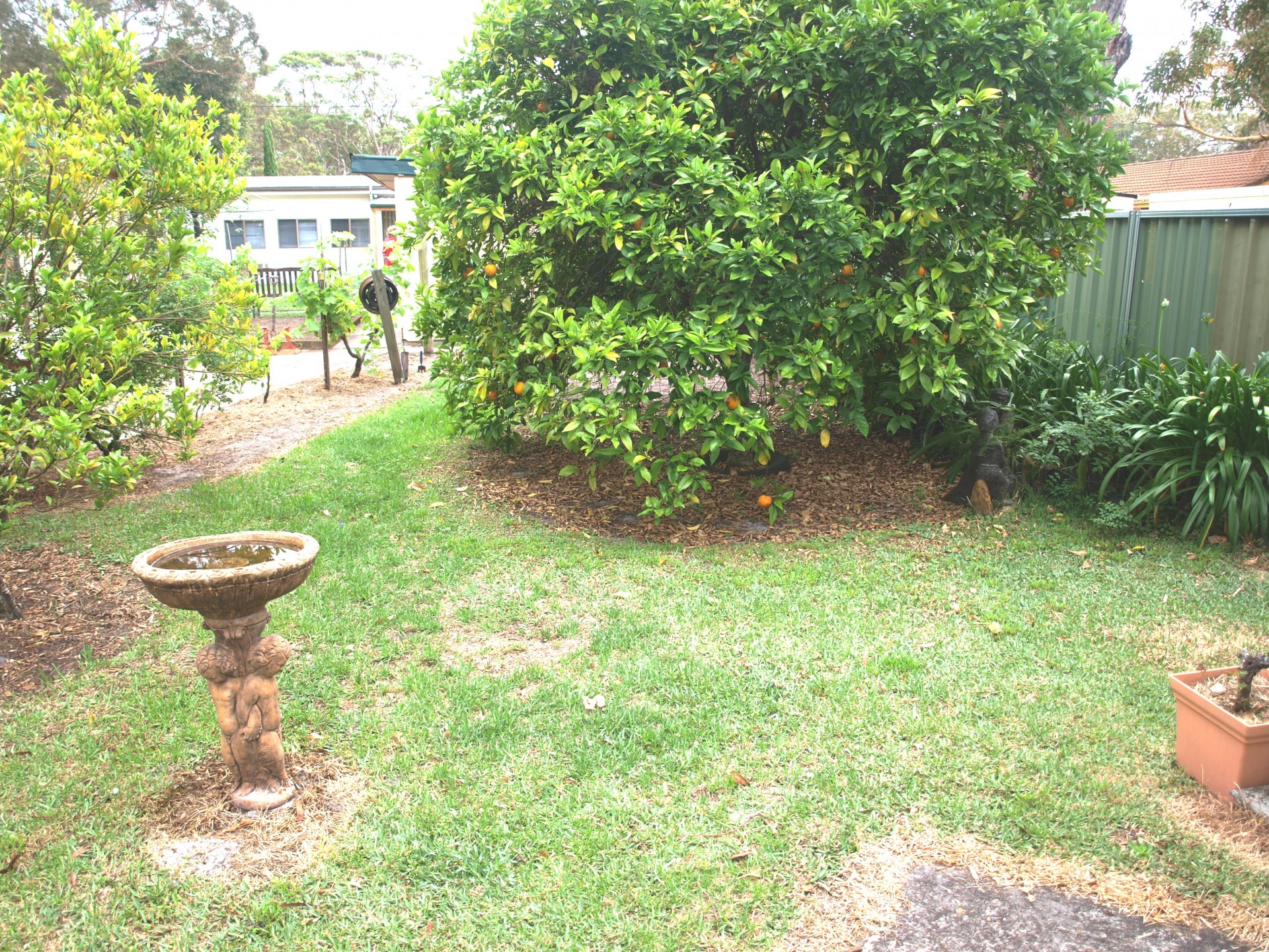 Real Estate in Callala Beach