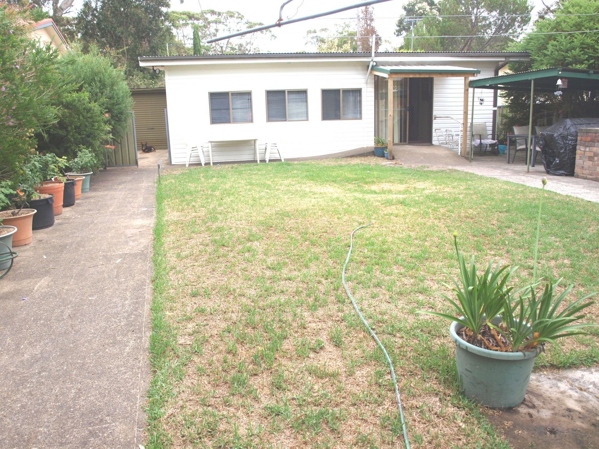 Real Estate in Callala Beach