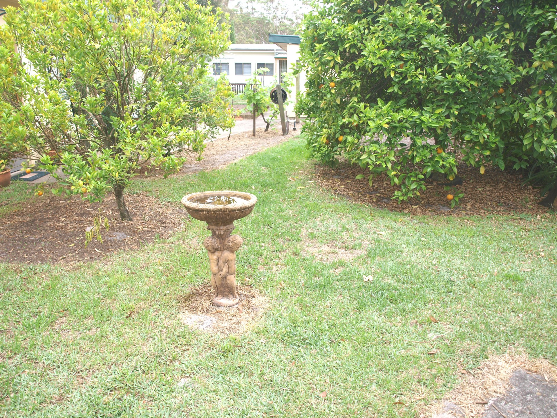 Real Estate in Callala Beach