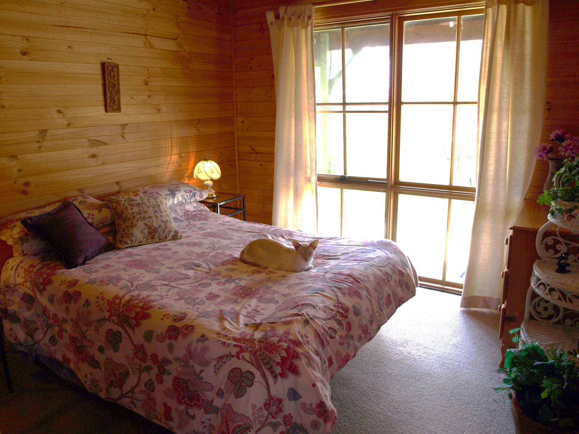 Real Estate in Callala Bay