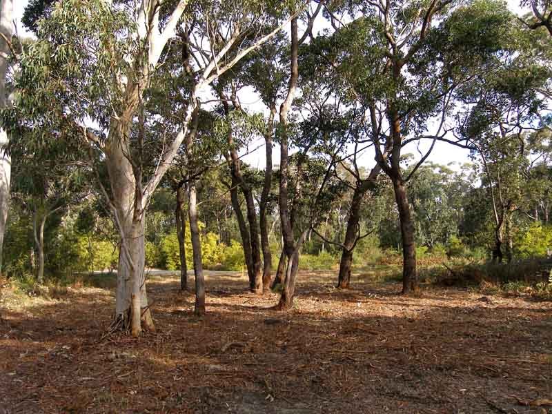 Back view looking south