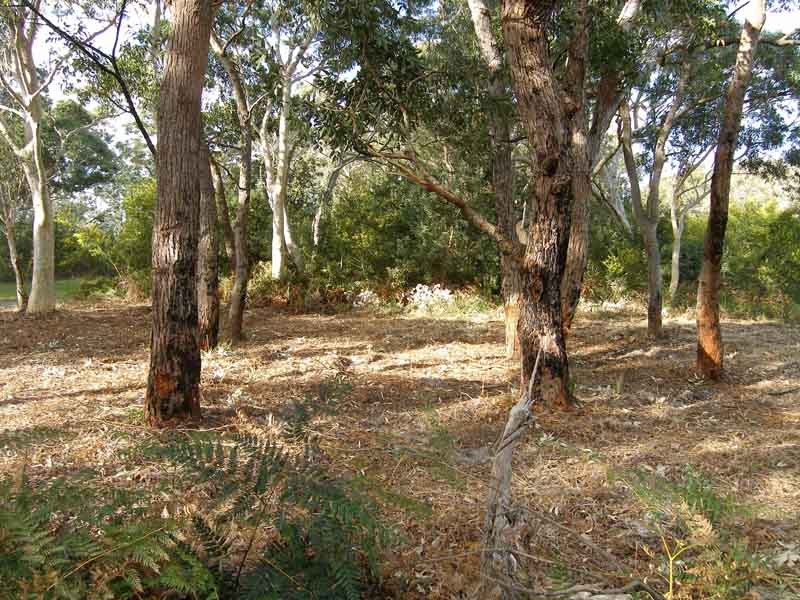 Side view looking east