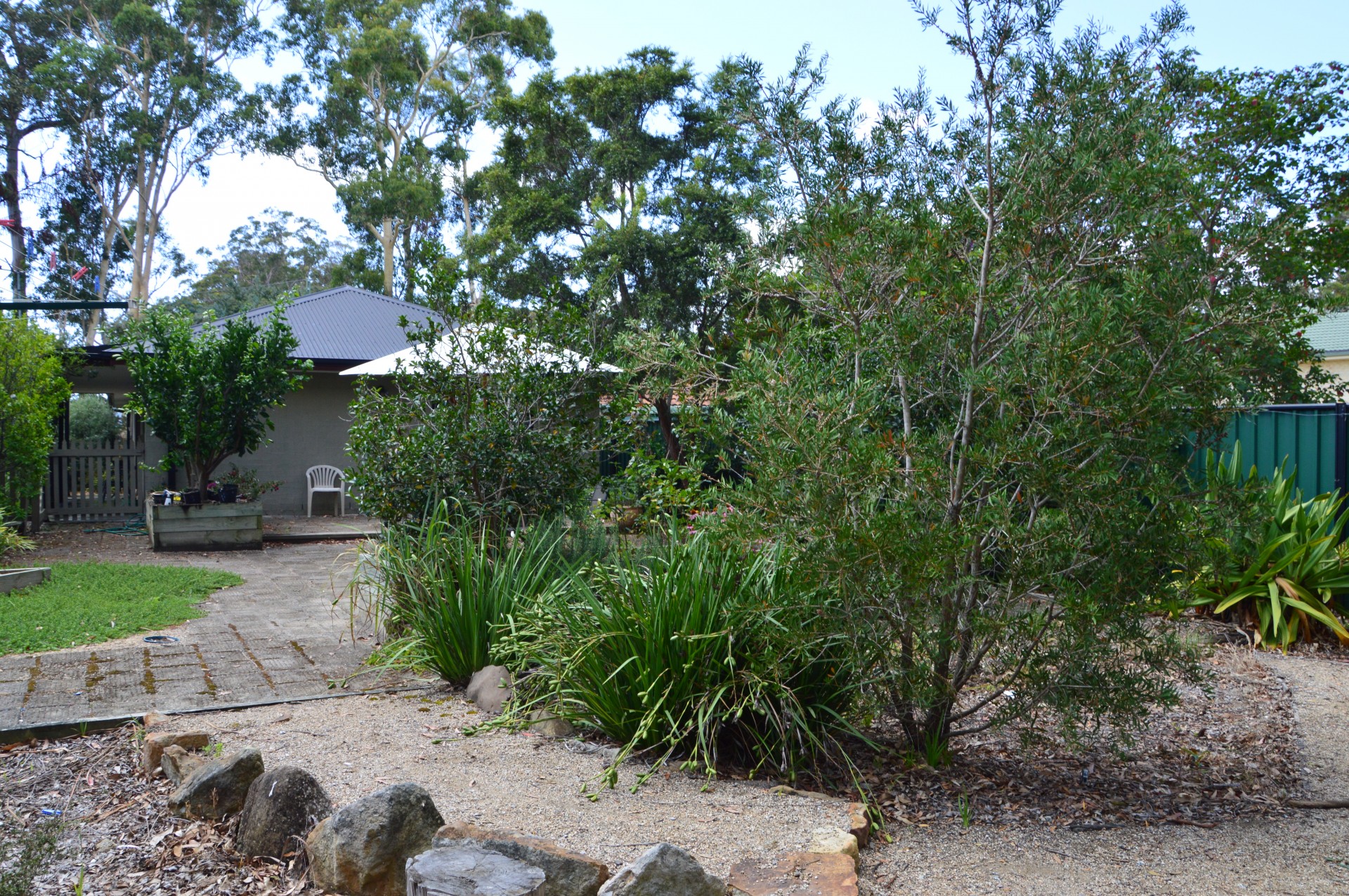 Real Estate in Callala Bay