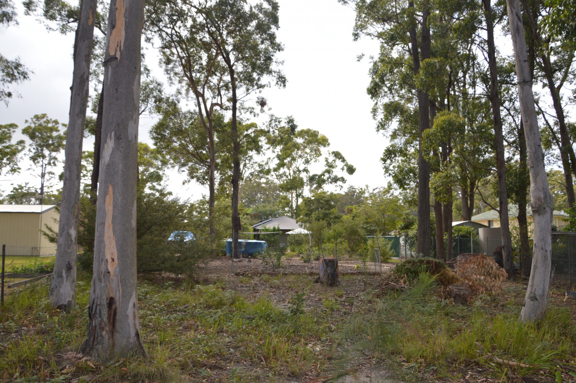 Real Estate in Callala Bay