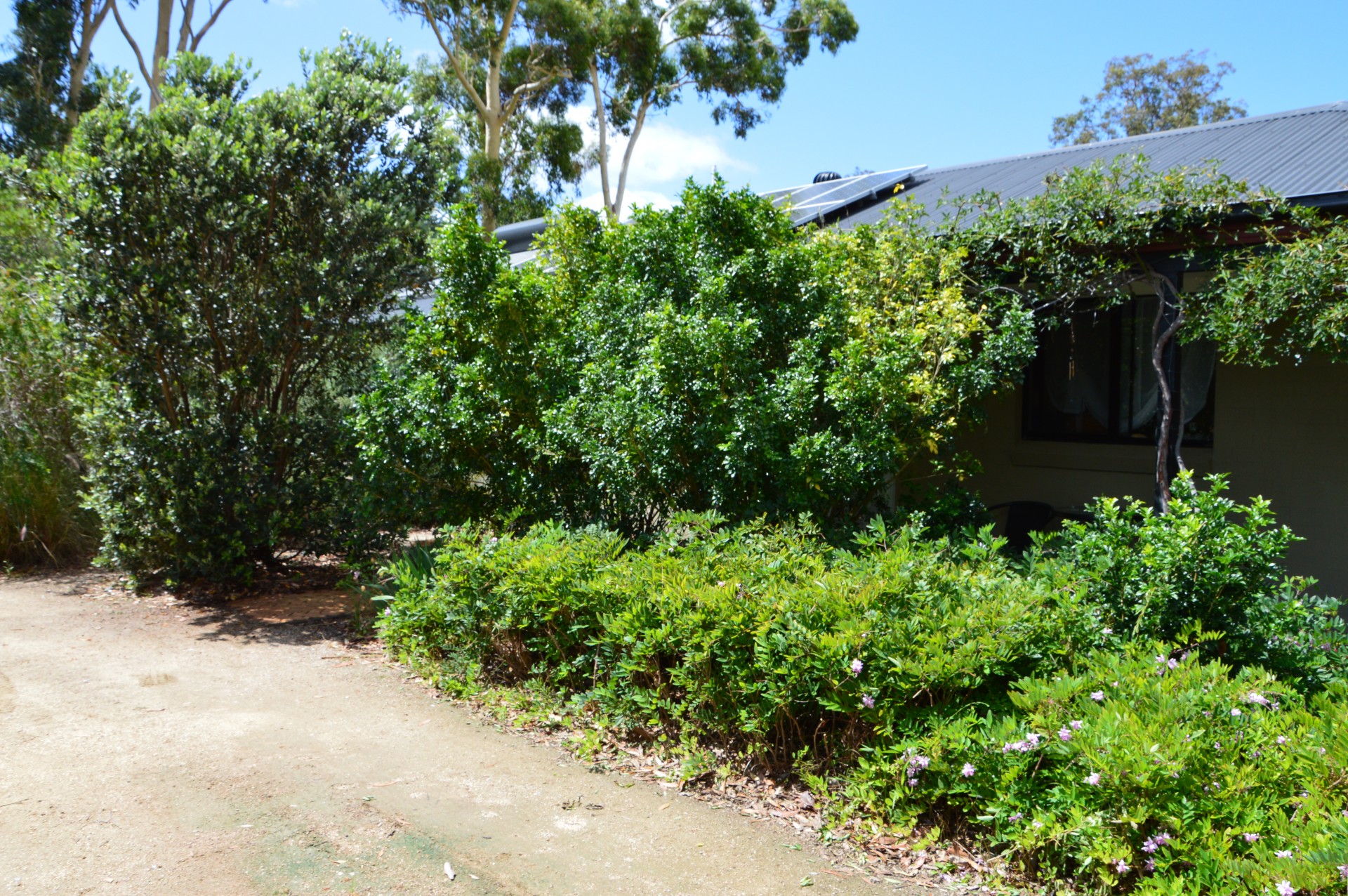 Real Estate in Callala Bay