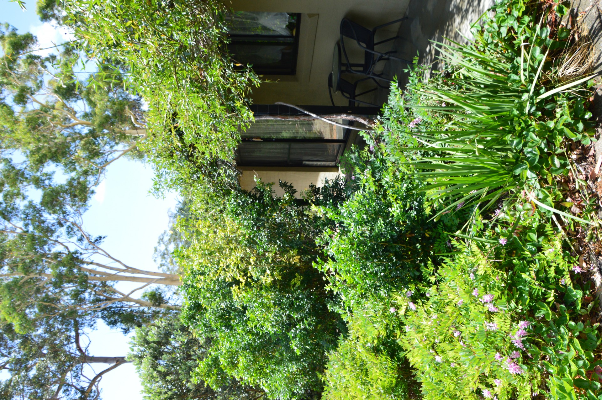 Real Estate in Callala Bay