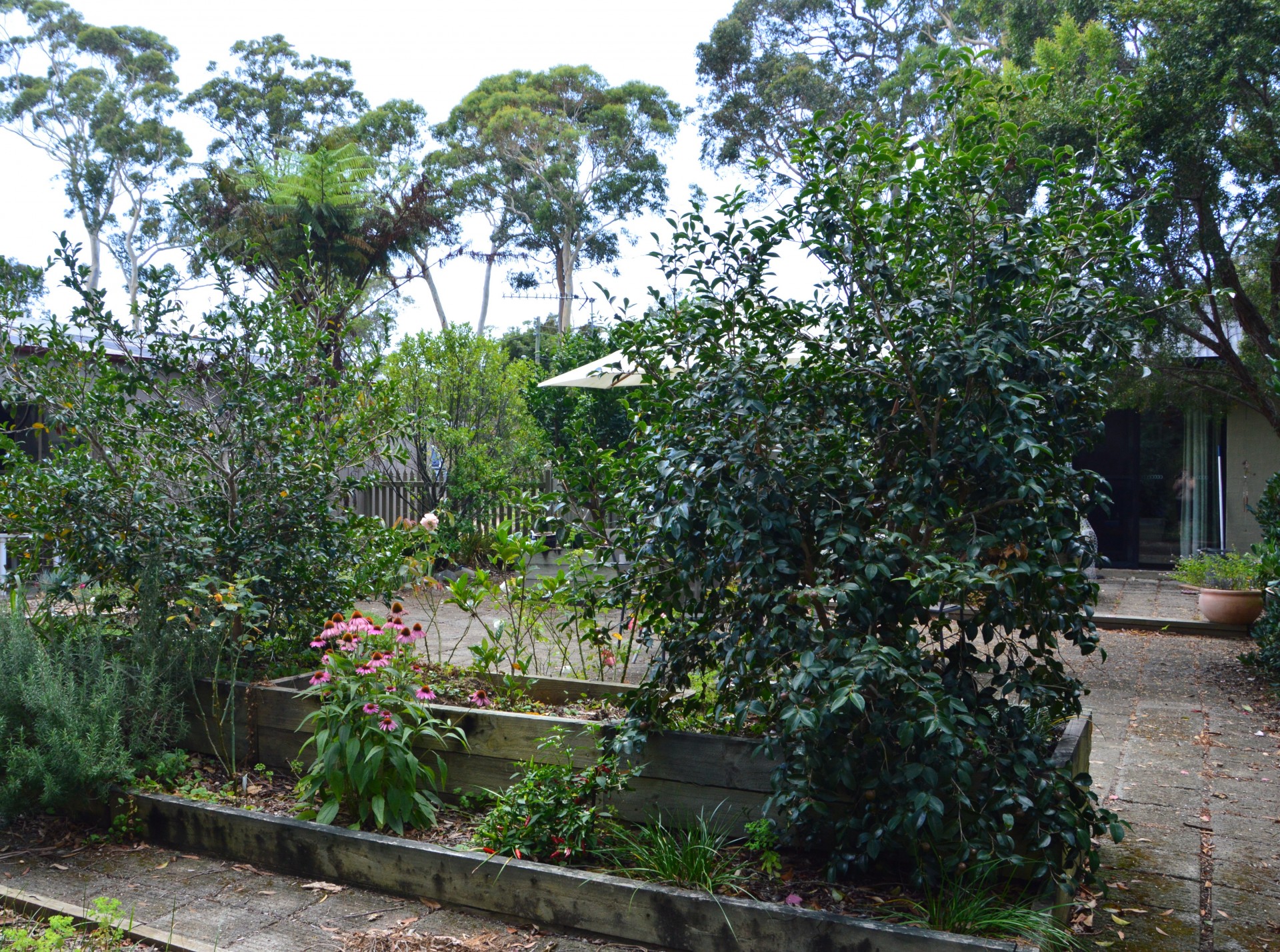 Real Estate in Callala Bay