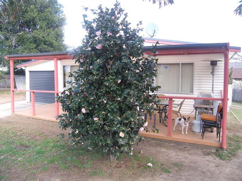 Real Estate in Nowra