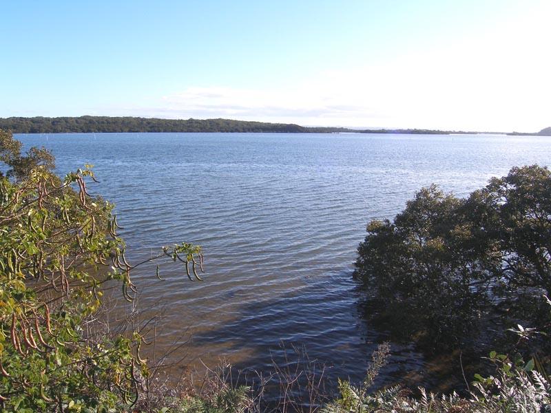 Real Estate in Culburra Beach