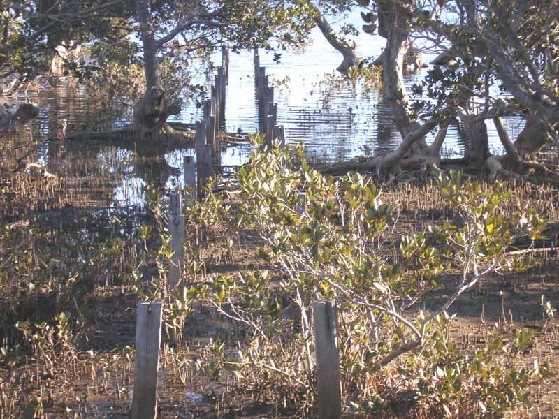 Real Estate in Culburra Beach