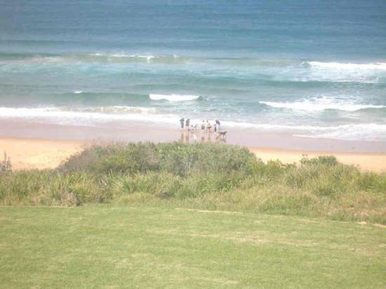 Real Estate in Culburra Beach