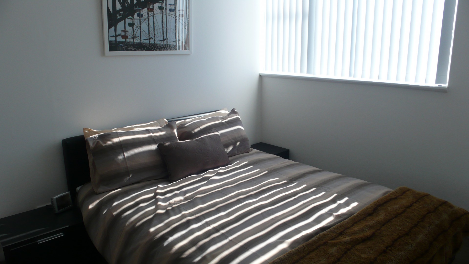 Real Estate in McMahons Point