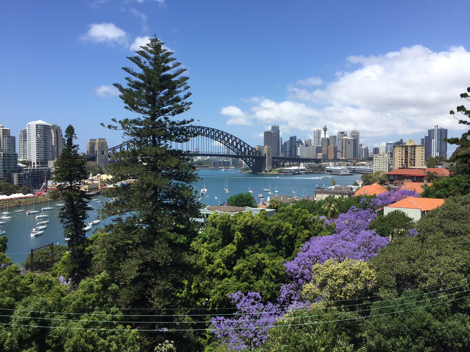 Property Leased in Lavender Bay
