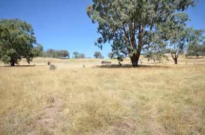 Property in Nundle - Sold