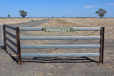  Mascot, Moree, NSW 2400