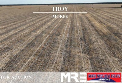  Troy, Moree, NSW 2400