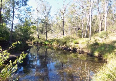 Property in Crows Nest - Sold