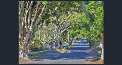 Property in East Lismore - Sold