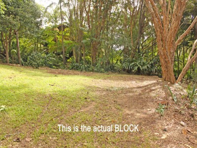 Property in Buderim - Sold