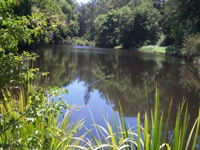 Property in Nabiac - Sold for $530,000