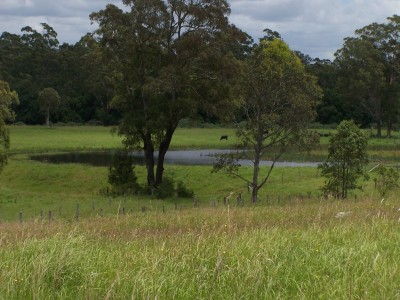 Property in Nabiac - Sold